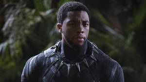 Chadwick Boseman Black Panther Suit Wallpaper