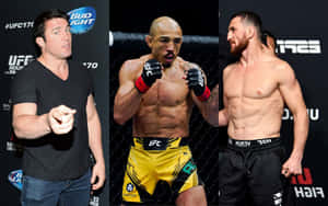 Chael Sonnen Jose Aldo Merab Dvalishvili Wallpaper