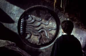 Chamber_of_ Secrets_ Entrance Wallpaper