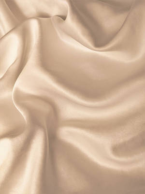 Champagne Crepe Silk Wallpaper