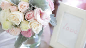 Champion Award Wallpaper