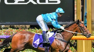 Champion Jockey Jamie Kah Smiling At The Racecourse Wallpaper