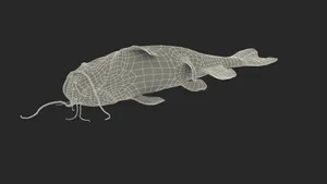Channel Catfish Wireframe3 D Model Wallpaper