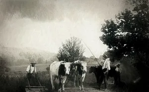 Charcoal Drawing Of A Female Portrait Wallpaper