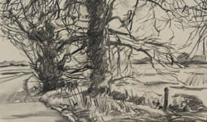 Charcoal Drawing Of A Majestic Lion Wallpaper