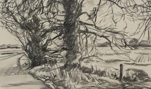 Charcoal Drawing Of A Majestic Lion Wallpaper