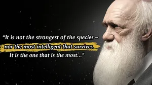 Charles Darwin On Intellectual Beings Wallpaper
