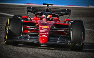 Charles Leclerc Narrow Nose Wallpaper