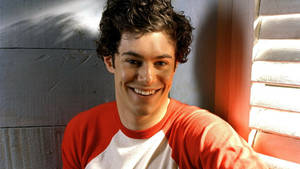 Charming Adam Brody Wallpaper