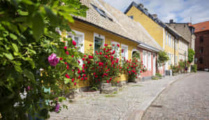 Charming Cobbled Street Lund Sweden Wallpaper