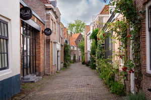 Charming Cobblestone Street Middelburg Netherlands Wallpaper