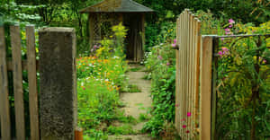 Charming Cottage Garden Pathway Wallpaper
