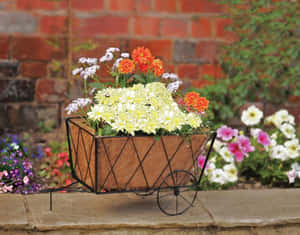 Charming Flower Cart On A Cobblestone Street Wallpaper