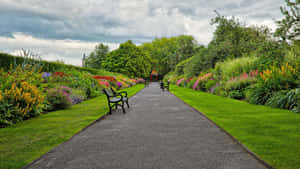 Charming Garden Pathway With Lush Greenery And Blooming Flowers Wallpaper