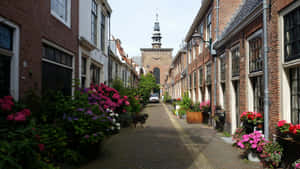 Charming Haarlem Cobblestone Street Flowers Wallpaper