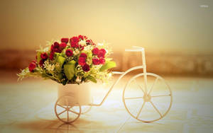 Charming White Tricycle Adorned With Pretty Roses Wallpaper