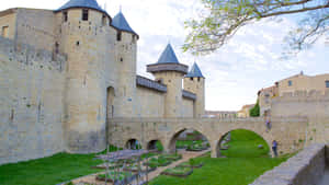 Chateau Comtal In Carcassonne During Broad Daylight Wallpaper