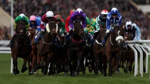 Cheltenham Festival Horse Race Action Wallpaper
