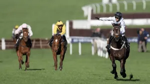 Cheltenham Festival Horse Race Finish Line Wallpaper