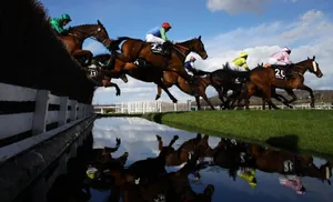 Cheltenham Festival Horse Race Reflection Wallpaper