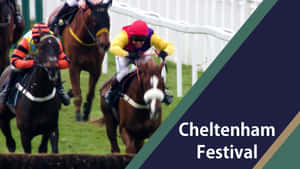 Cheltenham Festival Horse Racing Action Wallpaper