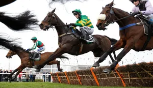 Cheltenham Festival Horse Racing Action Wallpaper