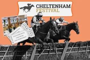Cheltenham Festival Horse Racing Event Wallpaper