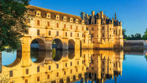 Chenonceau Golden Sunlight Wallpaper