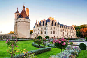 Chenonceau Sunlight Garden Wallpaper