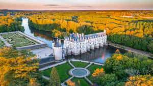 Chenonceau Yellow Foliage Wallpaper