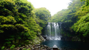 Cheonjeyeon Waterfalls Jeju Island Wallpaper