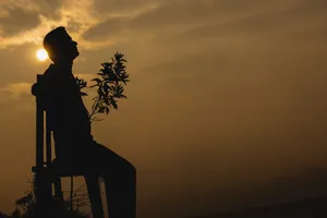 Cherishing Solitude In A Golden Afternoon Wallpaper