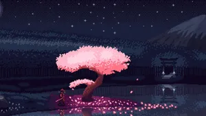 Cherry Blossom Night Scene Wallpaper