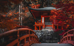 Cherry Blossom On Red Japanese Shrine Wallpaper