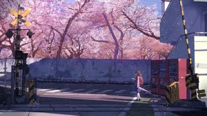 Cherry Blossom Railroad Crossing Anime Scene Wallpaper