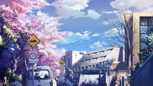 Cherry Blossom School Street.jpg Wallpaper