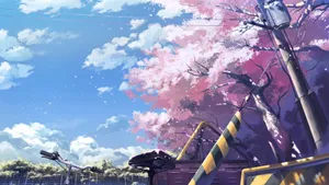 Cherry Blossoms Anime Scenery Bike Clear Skies Wallpaper