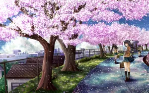 Cherry Blossoms Blooming In The Wind Wallpaper