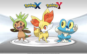 Chespin Froakie Fennekin Pokemon Wallpaper