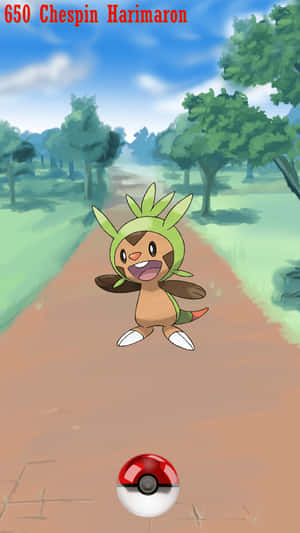 Chespin Pokemon Ball Wallpaper