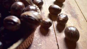 Chestnuts For Ayurveda Hd Chestnuts Wallpaper