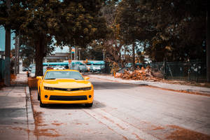 Chevrolet Camaro On Roadside Wallpaper