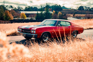 Chevrolet Chevelle On Wheat Field Wallpaper