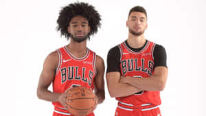 Chicago Bulls Players Portrait Wallpaper