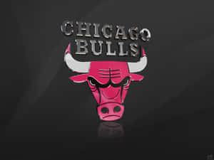 Chicago Bulls Wallpapers Hd Wallpapers Wallpaper
