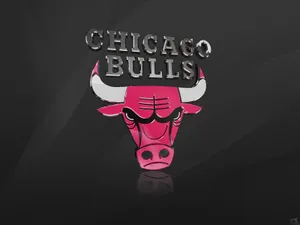 Chicago Bulls Wallpapers Hd Wallpapers Wallpaper