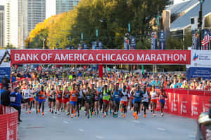 Chicago Marathon Start Line Runners Wallpaper