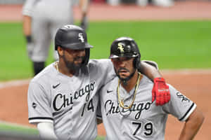 Chicago White Sox Players Celebrating Wallpaper