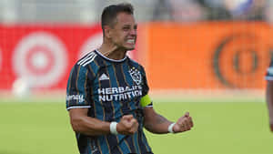Chicharito Celebrating On Field Wallpaper