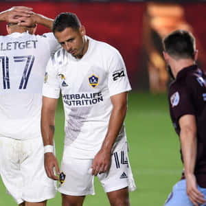 Chicharito Concerned Look During Match Wallpaper